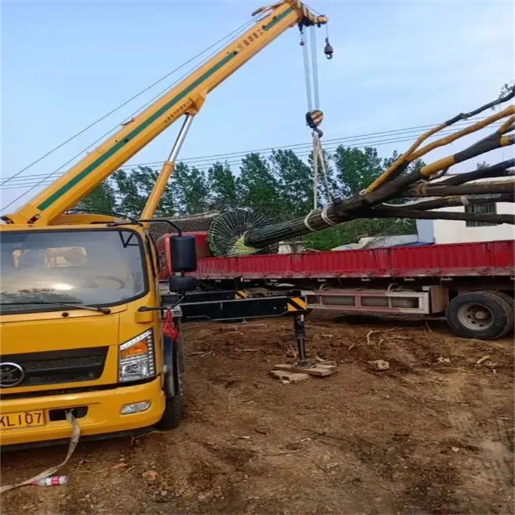 白鹭湖管理区100吨吊车租赁费用怎么算？3大关键因素+省钱技巧全解析